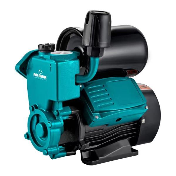 HİDROFORLU DİNAMO DG170 1HP